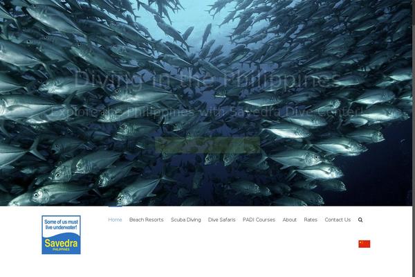 Avada Child theme site design template sample