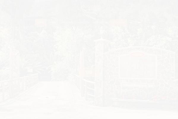 Site using Js_composer_theme plugin