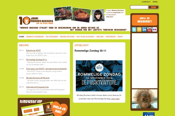 Site using Embed Facebook plugin