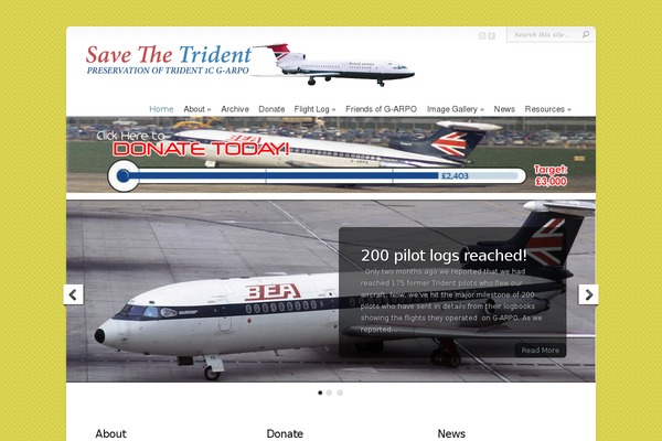 Chameleon theme site design template sample