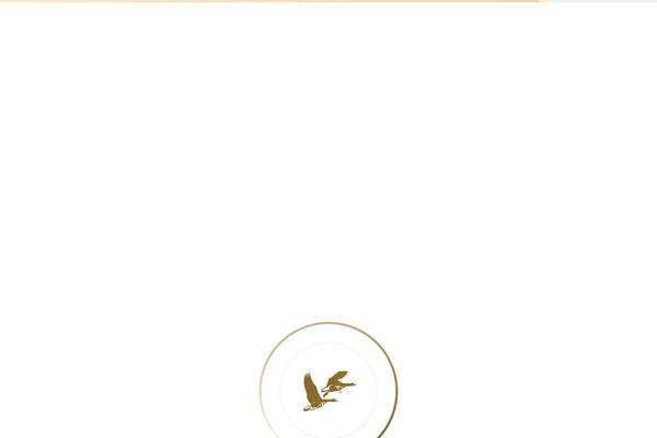 TheFox theme site design template sample