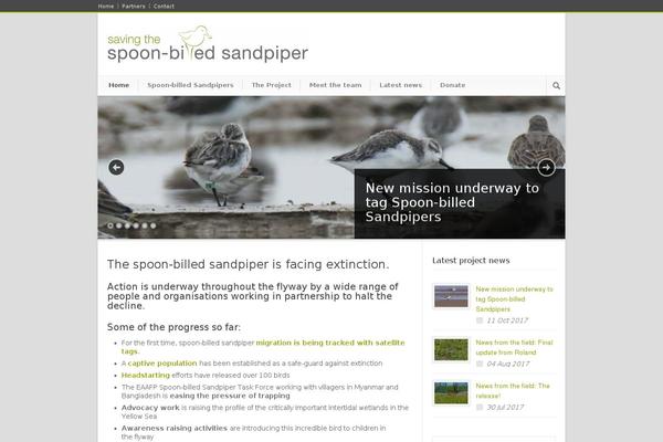 Modernize theme site design template sample