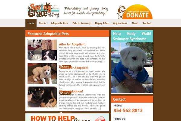 Site using Accordion plugin