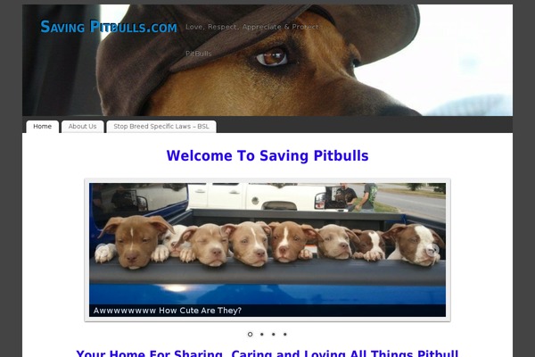 Mantra theme site design template sample
