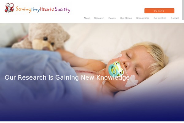 Morpheus theme site design template sample