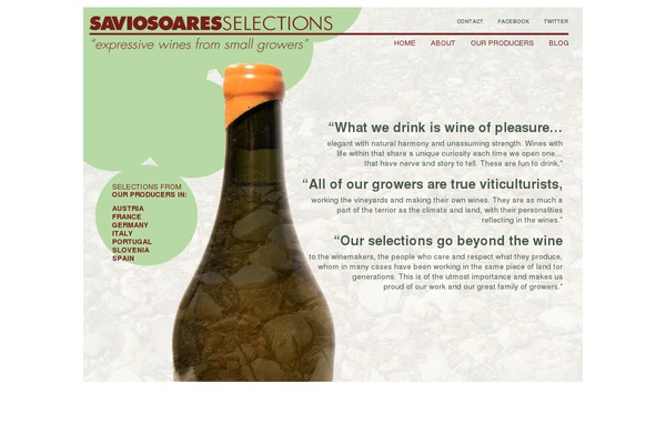 WPFolio theme site design template sample