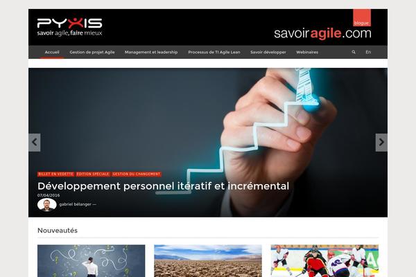 Site using Svg-flags-lite plugin