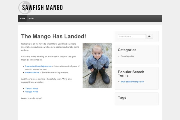 Site using Bullet_viral_traffic plugin