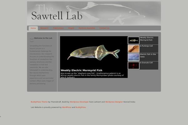 Custom Community Pro theme site design template sample