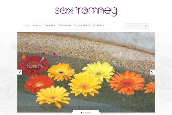 Evolution theme site design template sample
