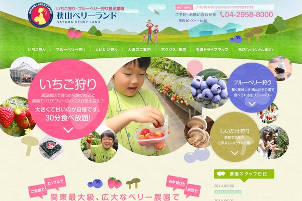 sayama theme websites examples
