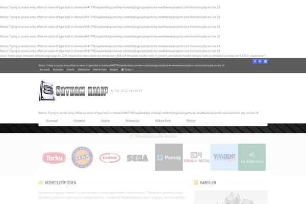 Site using Projects by WooThemes plugin