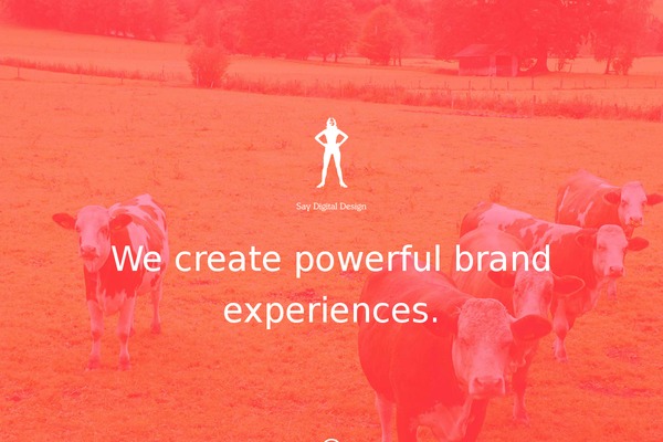 Baylie theme site design template sample