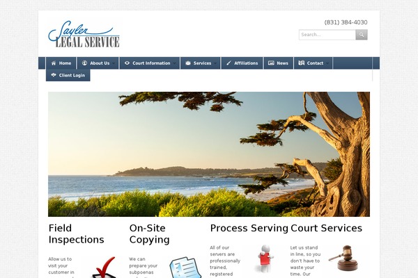 saylerlegal.com site used Fuse-wp