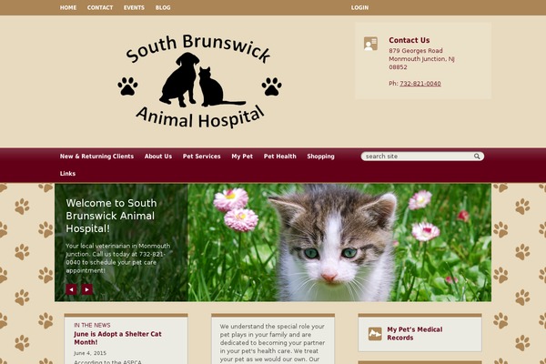 Webstersalient theme site design template sample
