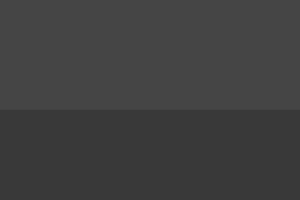 Site using SVG Support plugin