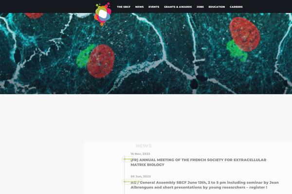 Site using Qtranslate-xt plugin