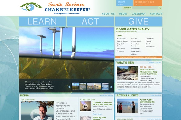 sbck theme websites examples