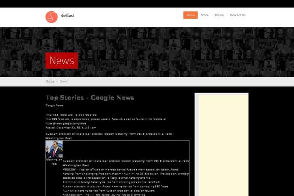 sbellast.com site used WildCommunity