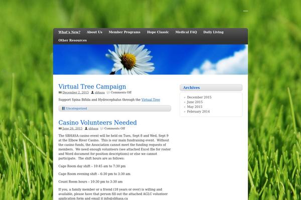 zeeDisplay theme site design template sample