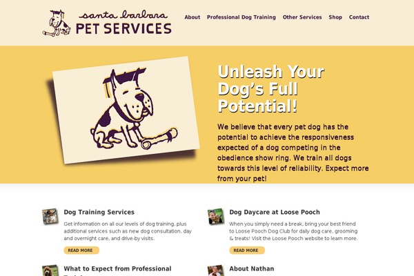 Optimize theme site design template sample