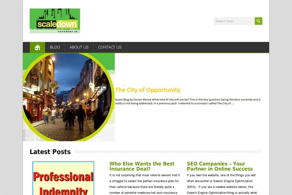 MaidenHair theme site design template sample