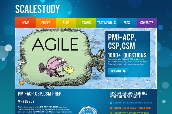 scalestudy.com site used Theme1336