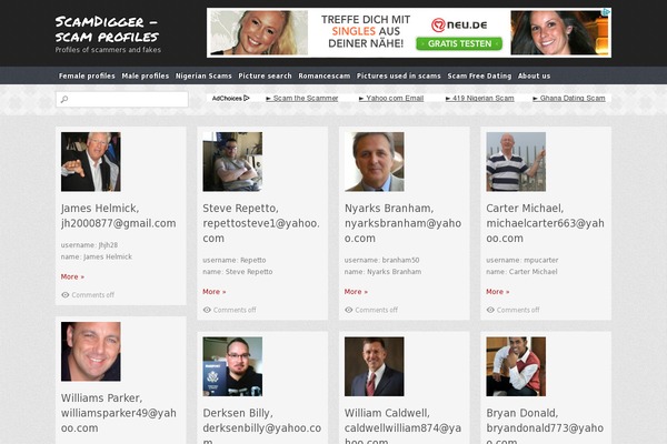 Themolio theme site design template sample