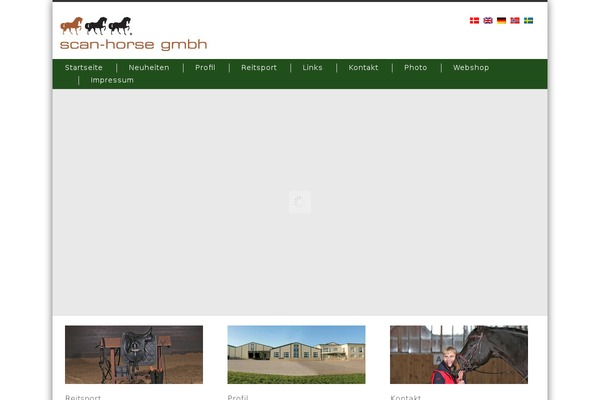 Nevada theme site design template sample