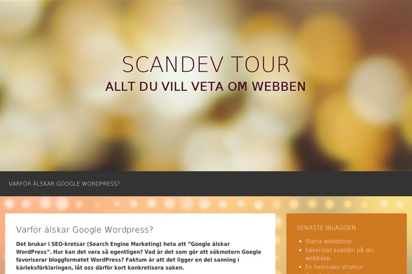 Celebrate theme site design template sample