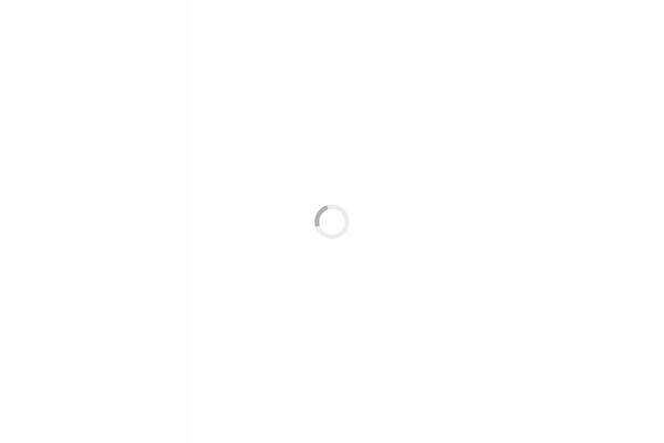 The7 theme site design template sample