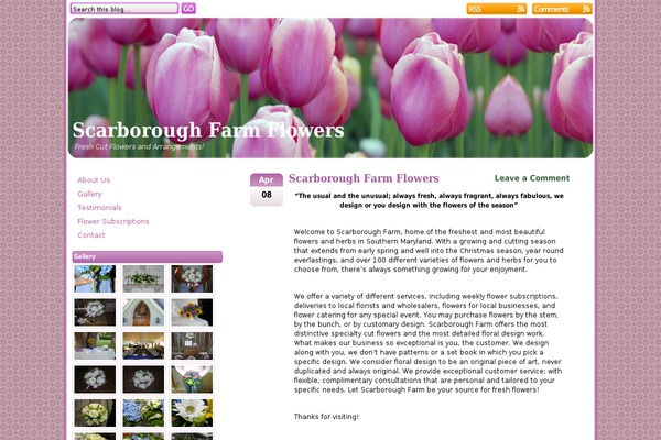 Pink Tulip theme site design template sample