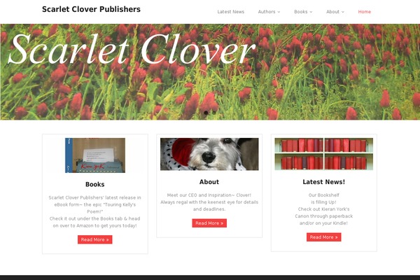 Minamaze theme site design template sample