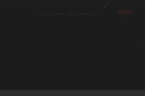 Site using Unyson plugin