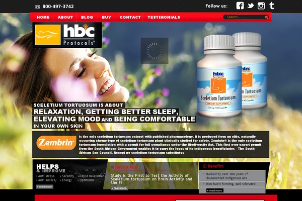 hbcprotocol theme websites examples