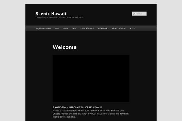 Site using Insert Headers and Footers plugin