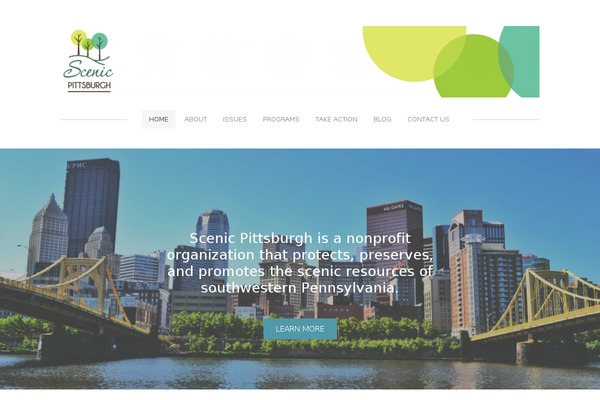 Dzonia Lite theme site design template sample
