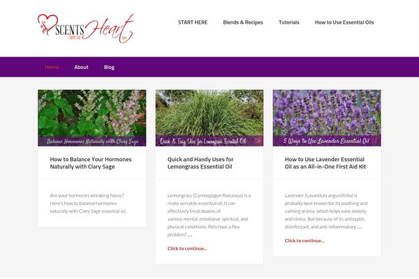 Enterprise Pro theme site design template sample