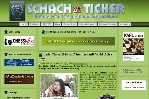 Newsever-pro theme site design template sample
