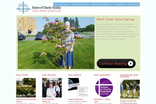 Site using FancyBox for WordPress plugin