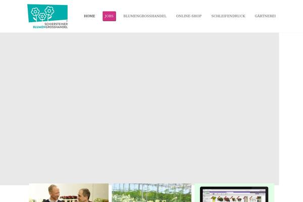 Site using Wp-terms-popup plugin