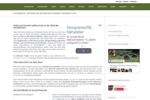 Big Point theme site design template sample