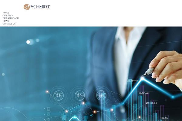 Maxbizz theme site design template sample