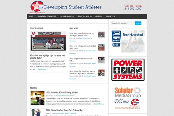 News Pro theme site design template sample