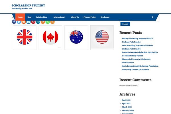Scholarship theme site design template sample