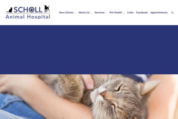 Site using Lifelearn-accessibility plugin