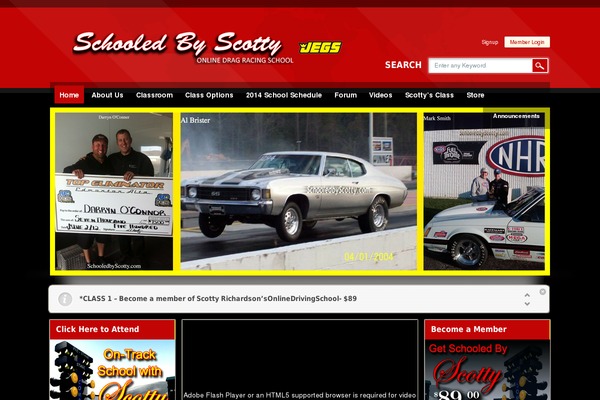 Wisdom theme site design template sample