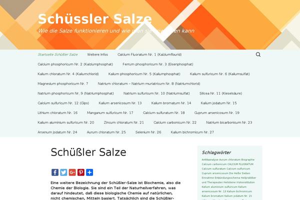 schuessler-salze-verzeichnis.de site used Soledad-theme