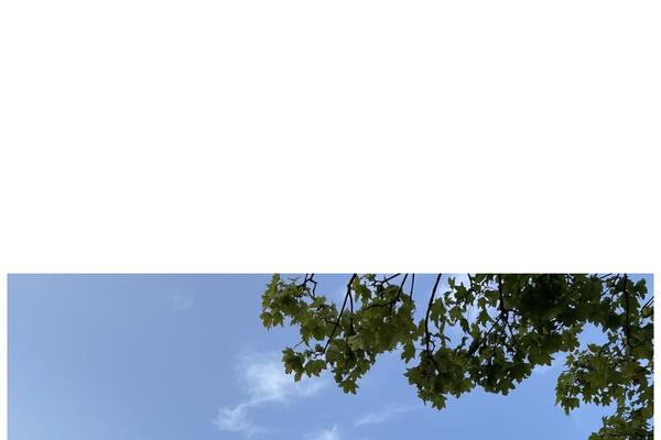 Site using Enfant-theme-extension plugin