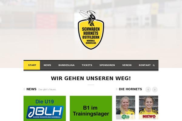 Site using EU Cookie Law plugin